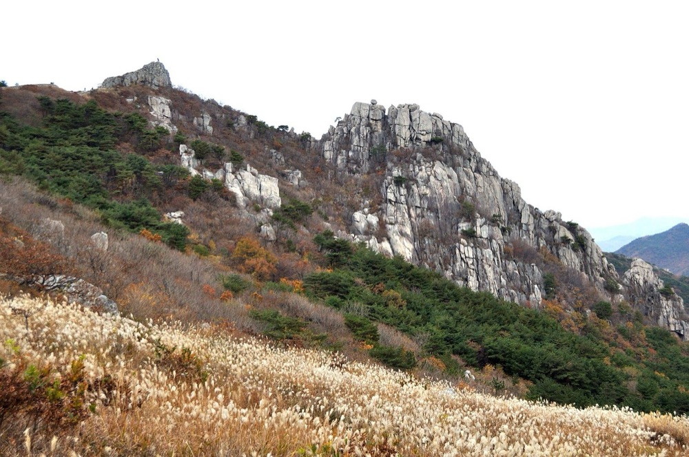 秋のすすきと岩山が広がる釜山・金井山