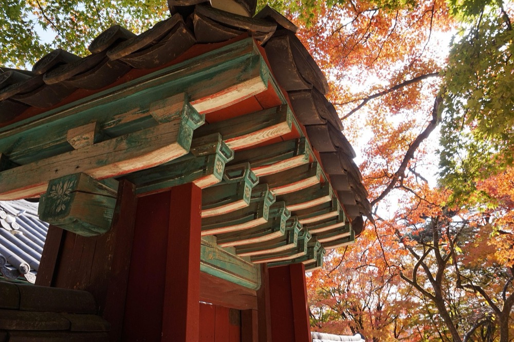 紅葉に囲まれた慶州・仏国寺の伝統建築